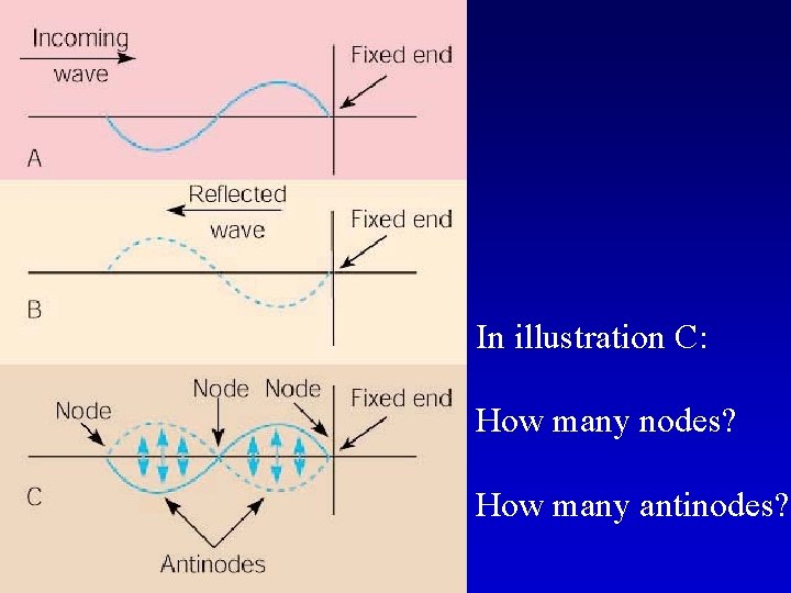 In illustration C: How many nodes? How many antinodes? 