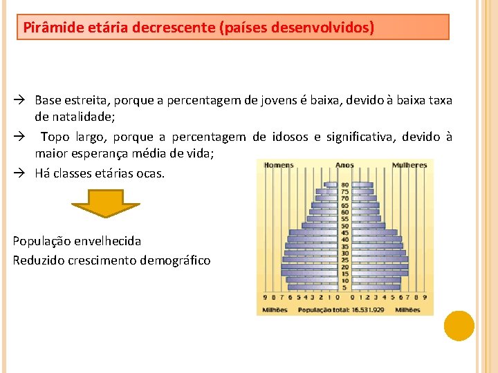 Pirâmide etária decrescente (países desenvolvidos) Base estreita, porque a percentagem de jovens é baixa,