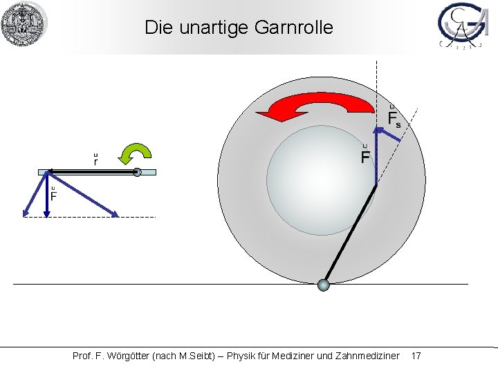 Die unartige Garnrolle Prof. F. Wörgötter (nach M. Seibt) -- Physik für Mediziner und