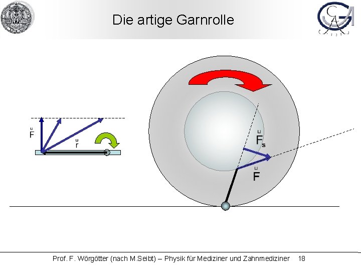 Die artige Garnrolle Prof. F. Wörgötter (nach M. Seibt) -- Physik für Mediziner und