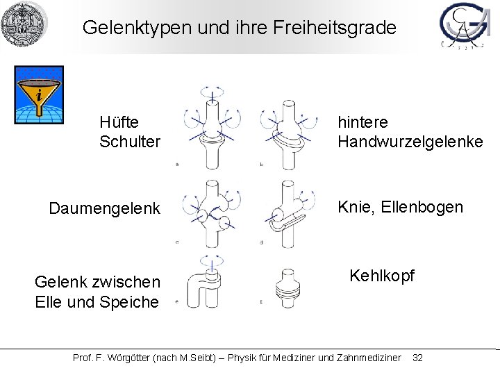 Gelenktypen und ihre Freiheitsgrade Hüfte Schulter Daumengelenk Gelenk zwischen Elle und Speiche hintere Handwurzelgelenke