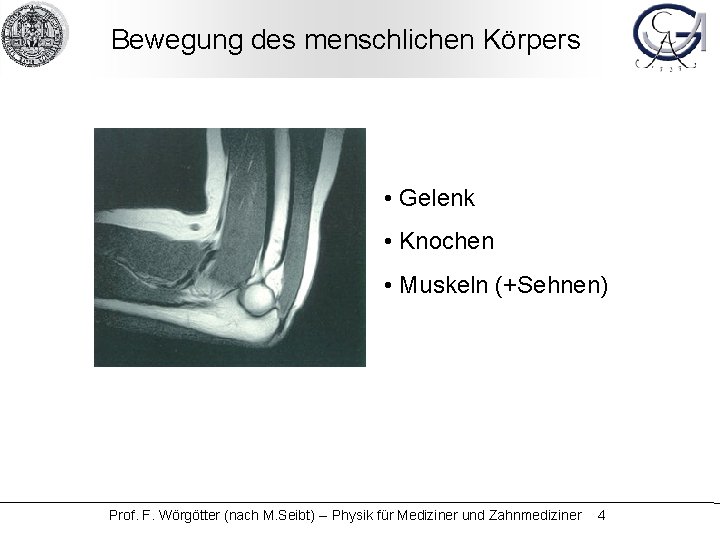 Bewegung des menschlichen Körpers • Gelenk • Knochen • Muskeln (+Sehnen) Prof. F. Wörgötter