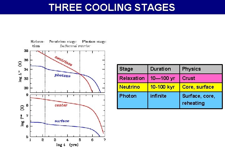 THREE COOLING STAGES Stage Duration Physics Relaxation 10— 100 yr Crust Neutrino 10 -100