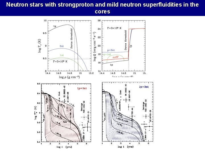 Neutron stars with strongproton and mild neutron superfluidities in the cores 