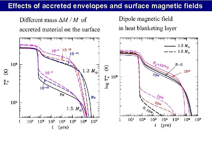 Effects of accreted envelopes and surface magnetic fields 