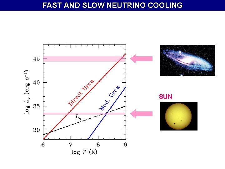 FAST AND SLOW NEUTRINO COOLING SUN 