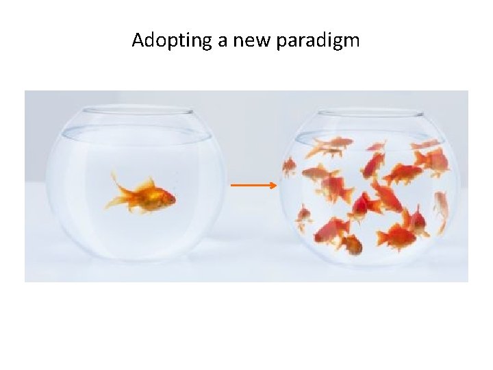 Adopting a new paradigm 