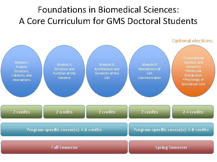 Foundations in Biomedical Sciences: A Core Curriculum for GMS Doctoral Students Optional electives: Module