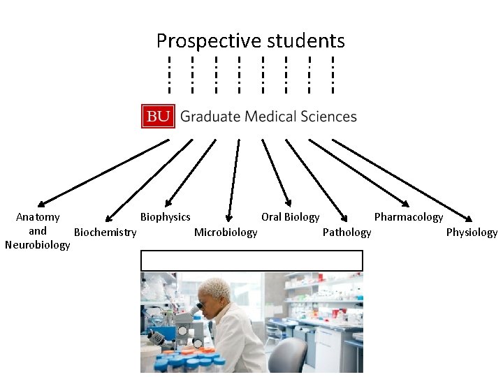 Prospective students Anatomy Biophysics Oral Biology Pharmacology and Biochemistry Microbiology Pathology Physiology Neurobiology 