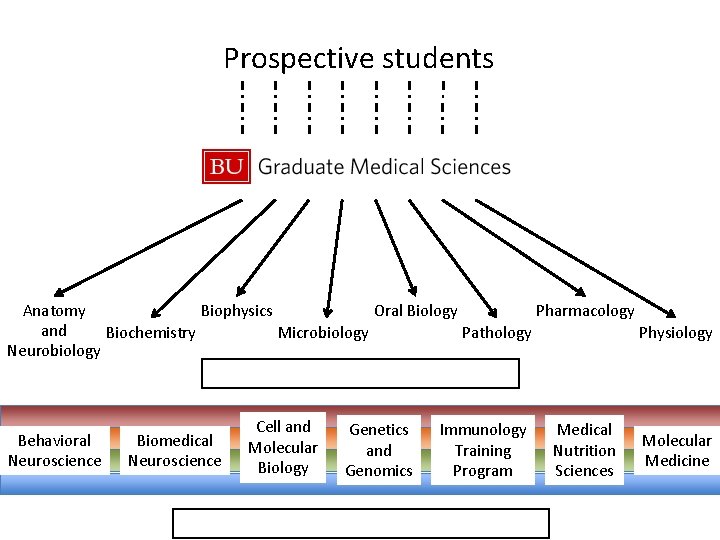 Prospective students Anatomy Biophysics Oral Biology Pharmacology and Biochemistry Microbiology Pathology Physiology Neurobiology Behavioral