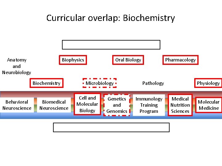 Curricular overlap: Biochemistry Anatomy and Neurobiology Biophysics Biochemistry Behavioral Neuroscience Biomedical Neuroscience Oral Biology