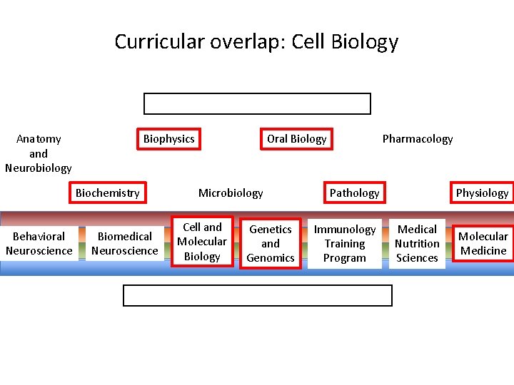 Curricular overlap: Cell Biology Anatomy and Neurobiology Biophysics Biochemistry Behavioral Neuroscience Biomedical Neuroscience Oral