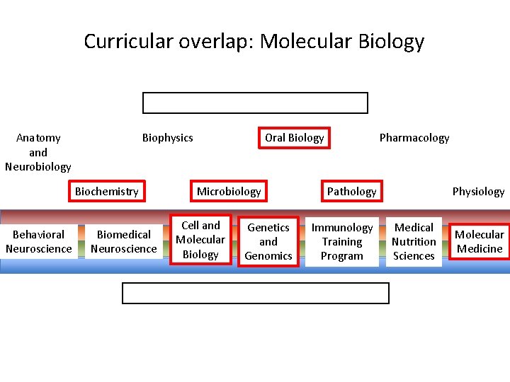 Curricular overlap: Molecular Biology Anatomy and Neurobiology Biophysics Biochemistry Behavioral Neuroscience Biomedical Neuroscience Oral