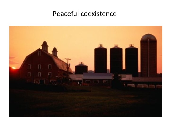 Peaceful coexistence 