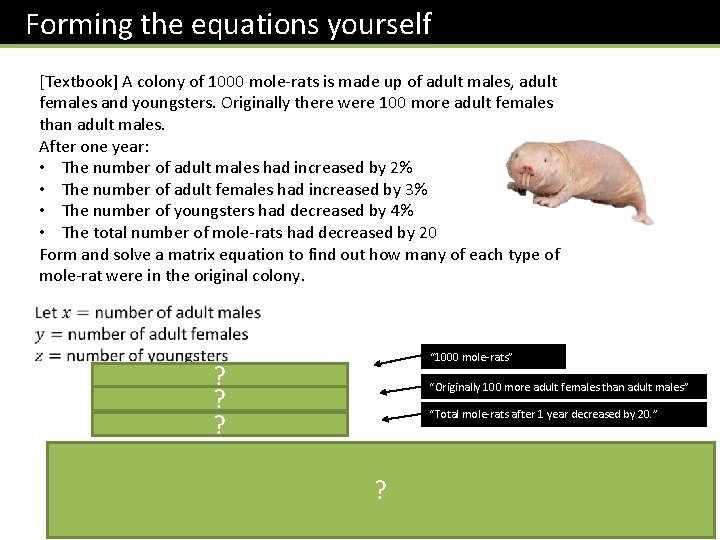 Forming the equations yourself [Textbook] A colony of 1000 mole-rats is made up of