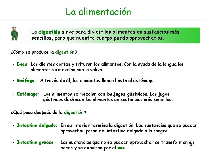 La alimentación La digestión sirve para dividir los alimentos en sustancias más sencillas, para