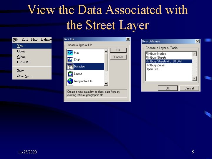 View the Data Associated with the Street Layer 11/25/2020 5 