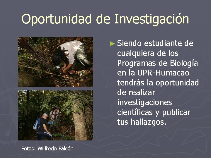 Oportunidad de Investigación ► Siendo estudiante de cualquiera de los Programas de Biología en