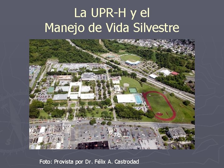 La UPR-H y el Manejo de Vida Silvestre Foto: Provista por Dr. Félix A.