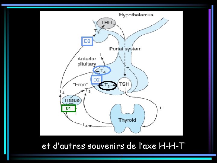 D 2 D 1 et d’autres souvenirs de l’axe H-H-T D 2 D 1 et d’autres souvenirs de l’axe H-H-T