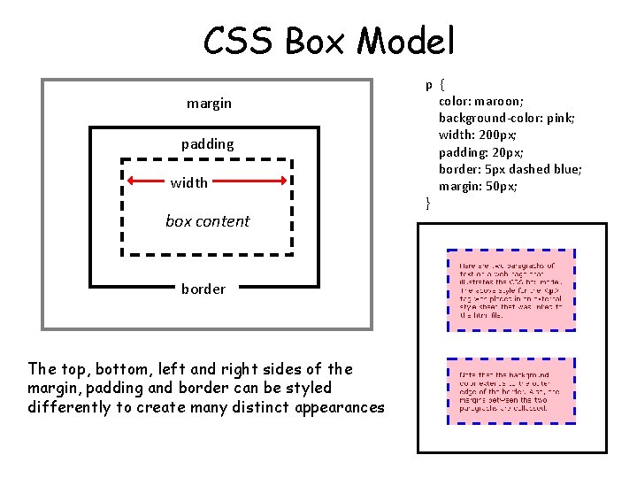 CSS Box Model margin padding width box content border The top, bottom, left and