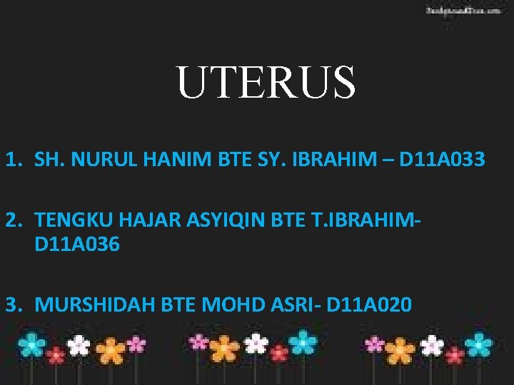 UTERUS 1. SH. NURUL HANIM BTE SY. IBRAHIM – D 11 A 033 2.