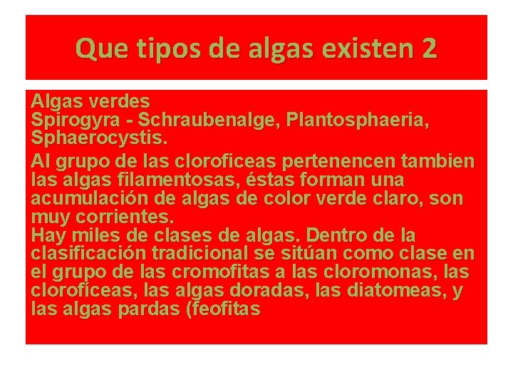 Que tipos de algas existen 2 Algas verdes Spirogyra - Schraubenalge, Plantosphaeria, Sphaerocystis. Al