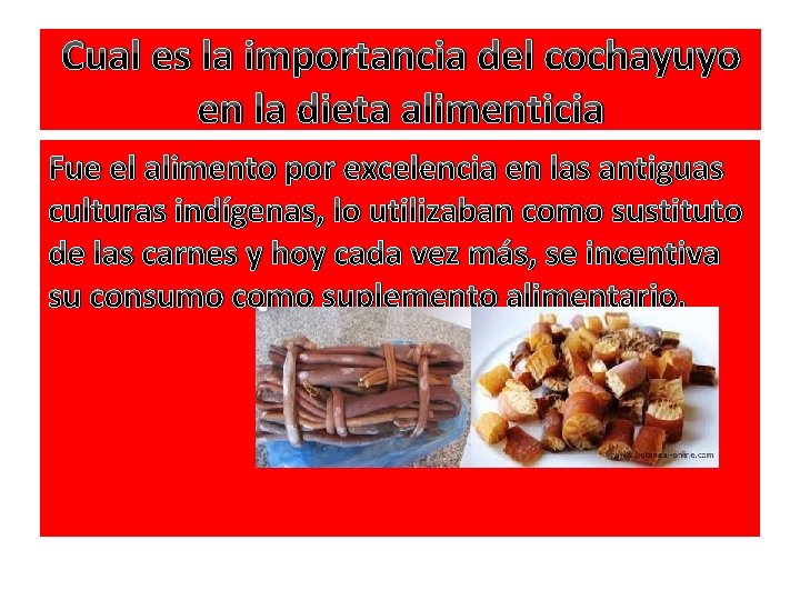 Cual es la importancia del cochayuyo en la dieta alimenticia Fue el alimento por