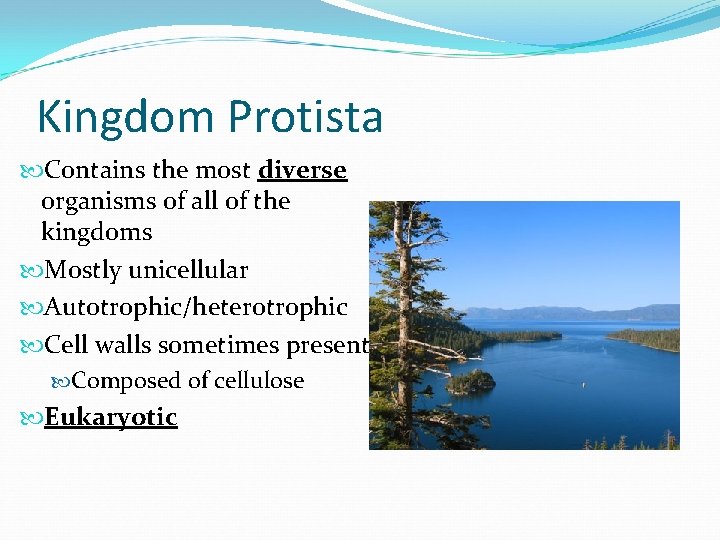 Kingdom Protista Contains the most diverse organisms of all of the kingdoms Mostly unicellular