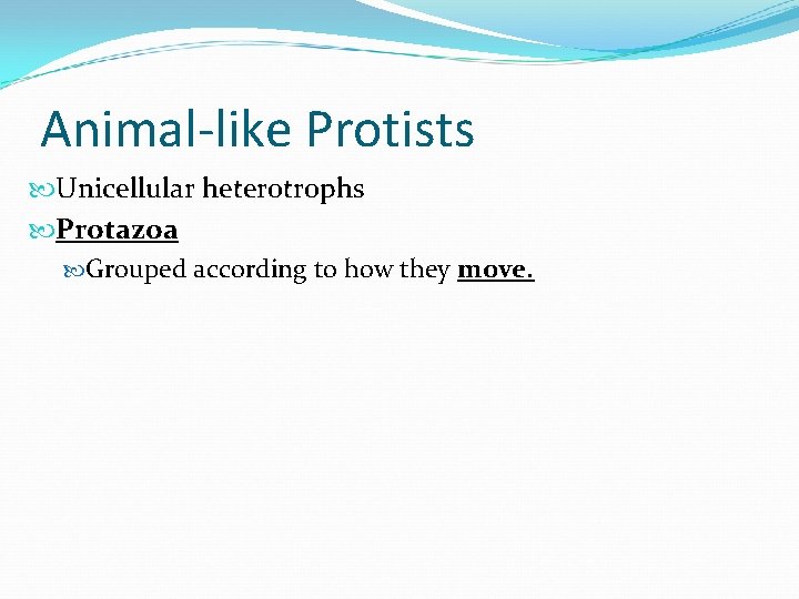 Animal-like Protists Unicellular heterotrophs Protazoa Grouped according to how they move. 