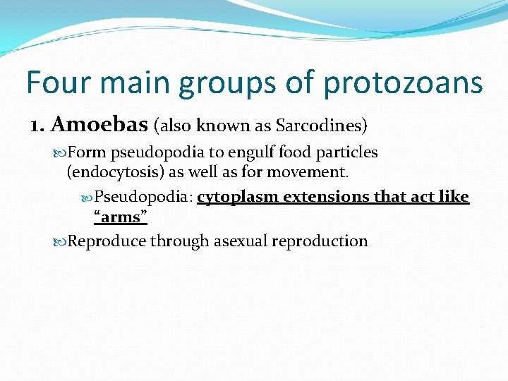 Four main groups of protozoans 1. Amoebas (also known as Sarcodines) Form pseudopodia to