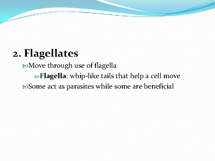 2. Flagellates Move through use of flagella Flagella: whip-like tails that help a cell