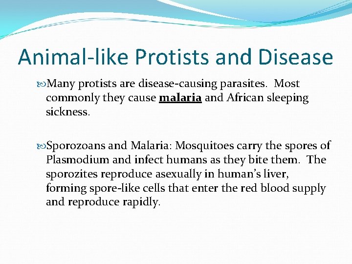 Animal-like Protists and Disease Many protists are disease-causing parasites. Most commonly they cause malaria