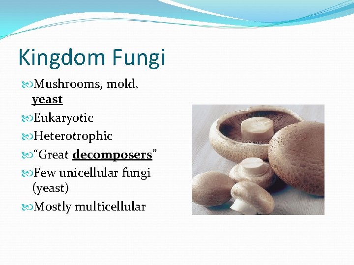Kingdom Fungi Mushrooms, mold, yeast Eukaryotic Heterotrophic “Great decomposers” Few unicellular fungi (yeast) Mostly