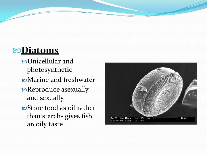  Diatoms Unicellular and photosynthetic Marine and freshwater Reproduce asexually and sexually Store food