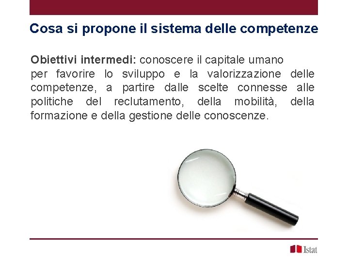 Cosa si propone il sistema delle competenze Obiettivi intermedi: conoscere il capitale umano per