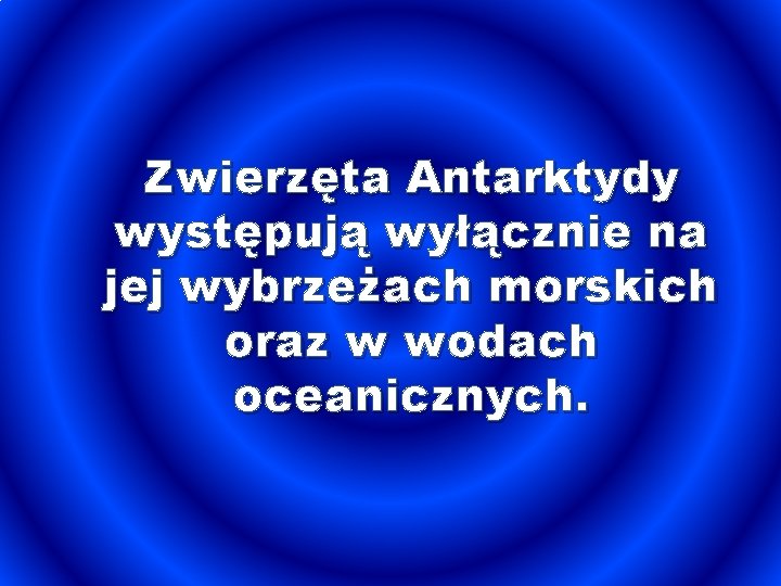 Zwierzęta Antarktydy występują wyłącznie na jej wybrzeżach morskich oraz w wodach oceanicznych. 