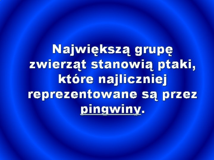 Największą grupę zwierząt stanowią ptaki, które najliczniej reprezentowane są przez pingwiny. 