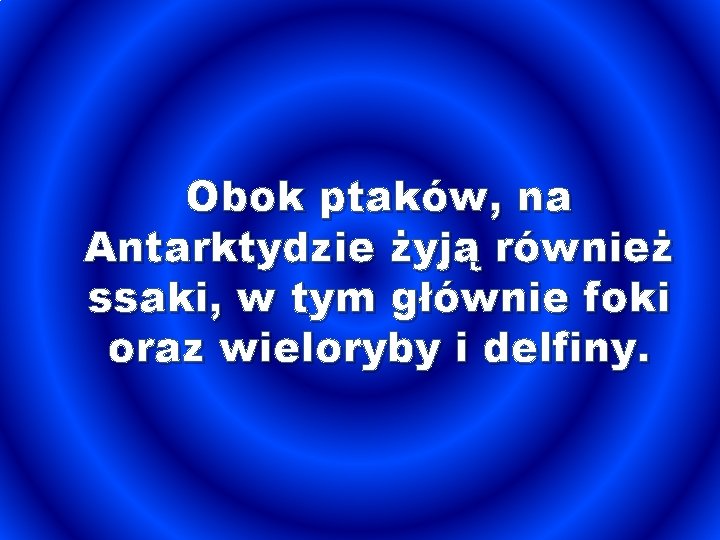 Obok ptaków, na Antarktydzie żyją również ssaki, w tym głównie foki oraz wieloryby i