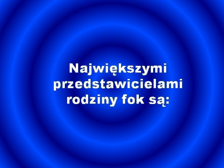 Największymi przedstawicielami rodziny fok są: 