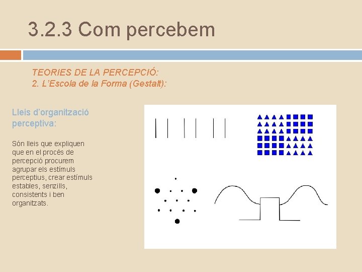 3. 2. 3 Com percebem TEORIES DE LA PERCEPCIÓ: 2. L’Escola de la Forma