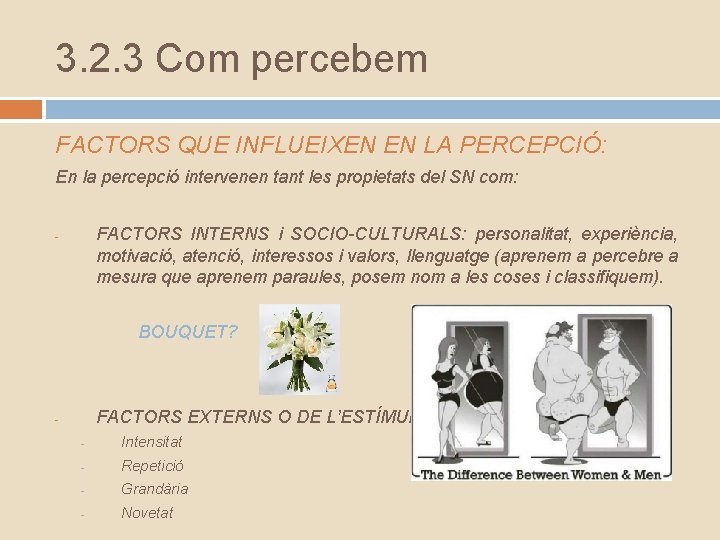 3. 2. 3 Com percebem FACTORS QUE INFLUEIXEN EN LA PERCEPCIÓ: En la percepció