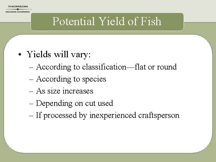 Potential Yield of Fish • Yields will vary: – According to classification—flat or round