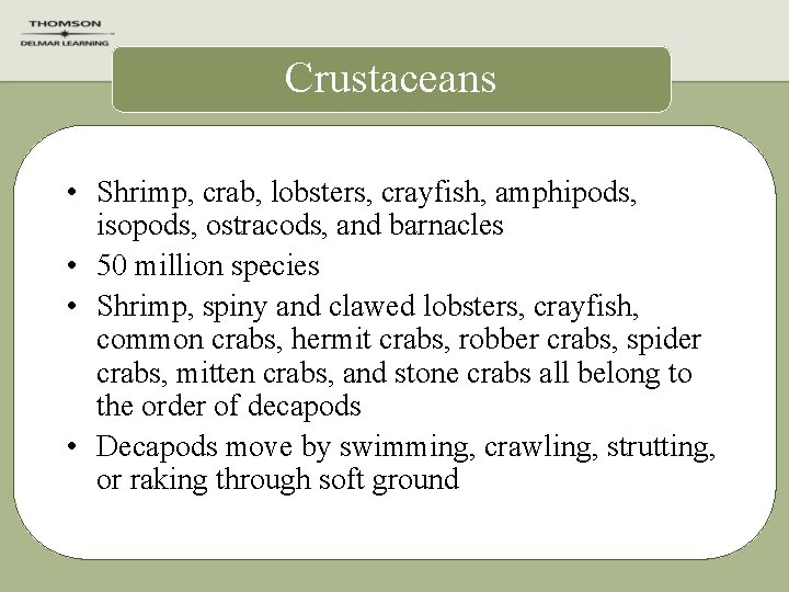 Crustaceans • Shrimp, crab, lobsters, crayfish, amphipods, isopods, ostracods, and barnacles • 50 million