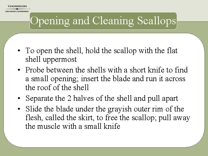 Opening and Cleaning Scallops • To open the shell, hold the scallop with the