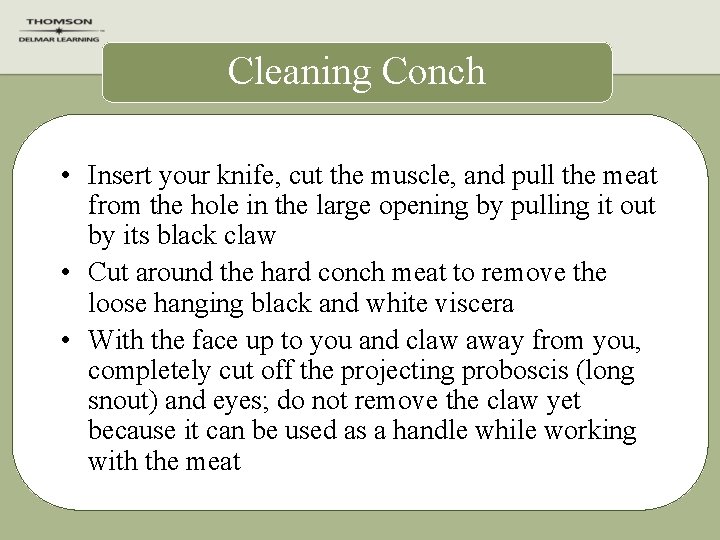 Cleaning Conch • Insert your knife, cut the muscle, and pull the meat from