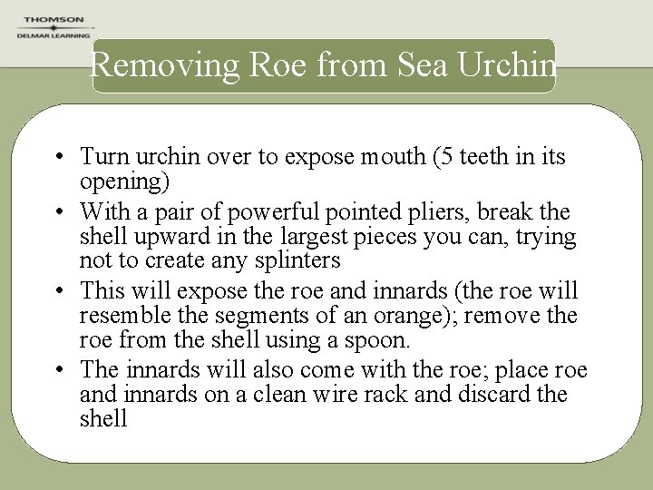 Removing Roe from Sea Urchin • Turn urchin over to expose mouth (5 teeth