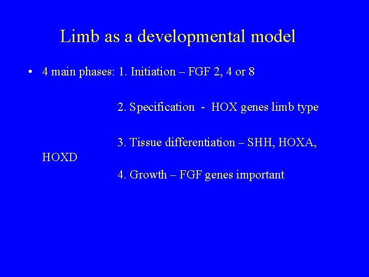 Limb as a developmental model • 4 main phases: 1. Initiation – FGF 2,