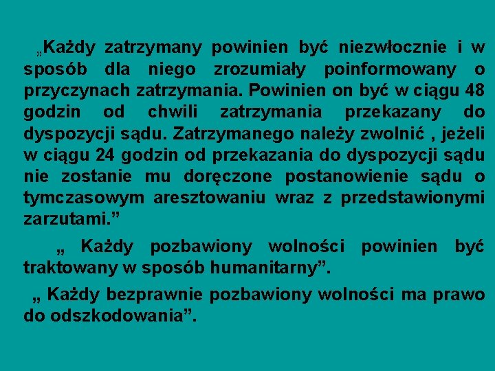 „Każdy zatrzymany powinien być niezwłocznie i w sposób dla niego zrozumiały poinformowany o przyczynach