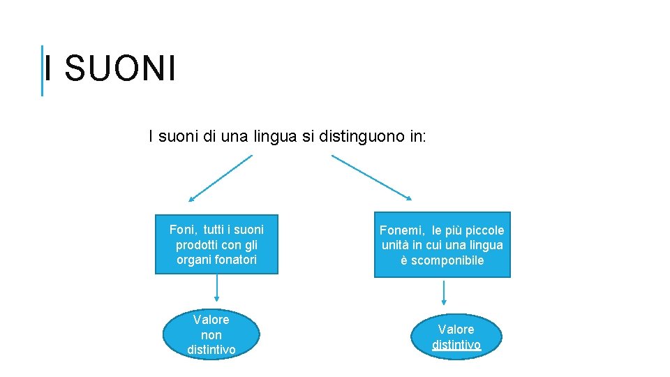 I SUONI I suoni di una lingua si distinguono in: Foni, tutti i suoni